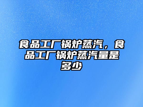 食品工廠鍋爐蒸汽，食品工廠鍋爐蒸汽量是多少