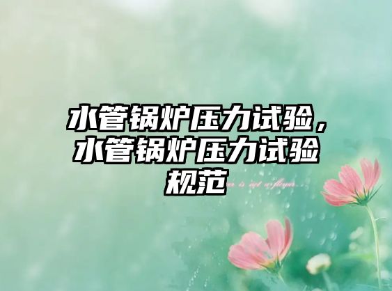 水管鍋爐壓力試驗(yàn)，水管鍋爐壓力試驗(yàn)規(guī)范