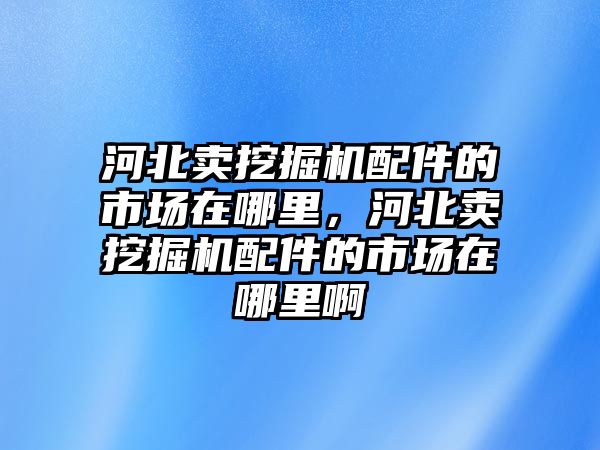 河北賣挖掘機(jī)配件的市場(chǎng)在哪里，河北賣挖掘機(jī)配件的市場(chǎng)在哪里啊