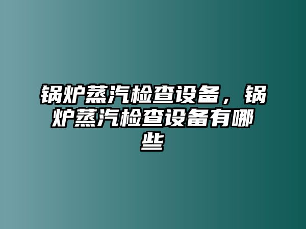 鍋爐蒸汽檢查設(shè)備，鍋爐蒸汽檢查設(shè)備有哪些