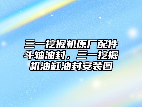 三一挖掘機原廠配件斗軸油封，三一挖掘機油缸油封安裝圖