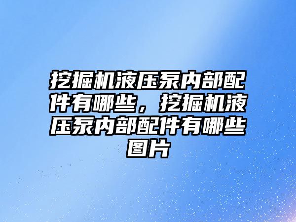 挖掘機液壓泵內(nèi)部配件有哪些，挖掘機液壓泵內(nèi)部配件有哪些圖片