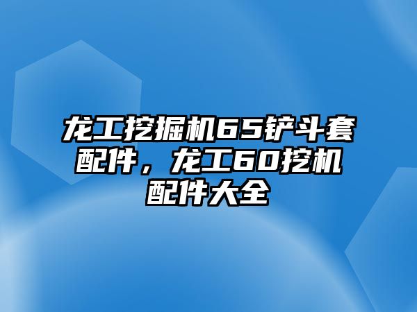 龍工挖掘機65鏟斗套配件，龍工60挖機配件大全