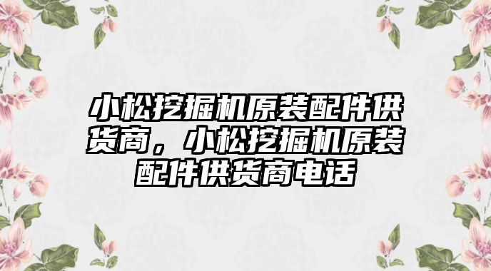 小松挖掘機(jī)原裝配件供貨商，小松挖掘機(jī)原裝配件供貨商電話