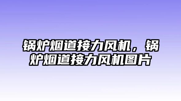 鍋爐煙道接力風(fēng)機(jī)，鍋爐煙道接力風(fēng)機(jī)圖片