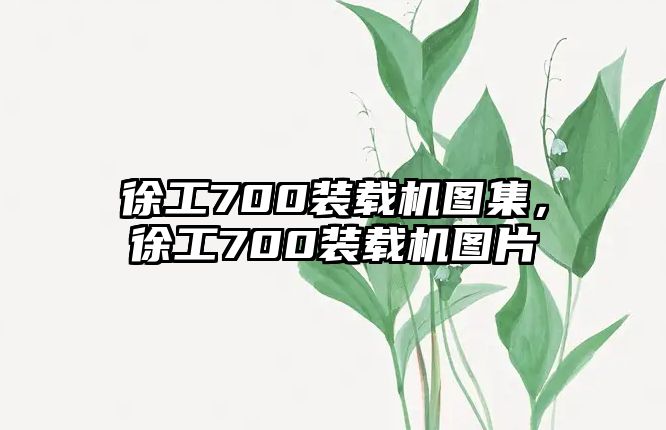 徐工700裝載機圖集，徐工700裝載機圖片