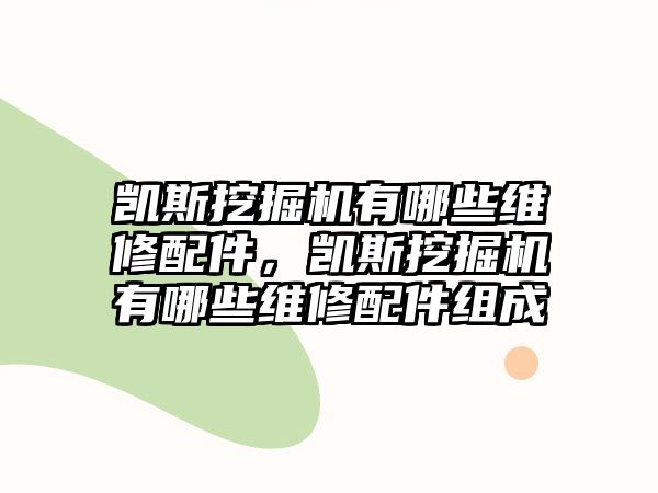 凱斯挖掘機(jī)有哪些維修配件，凱斯挖掘機(jī)有哪些維修配件組成