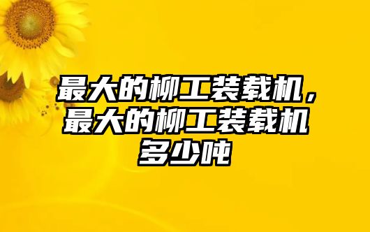 最大的柳工裝載機，最大的柳工裝載機多少噸