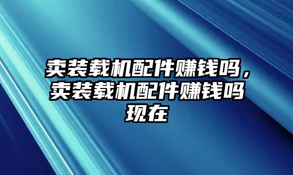 賣裝載機配件賺錢嗎，賣裝載機配件賺錢嗎現(xiàn)在