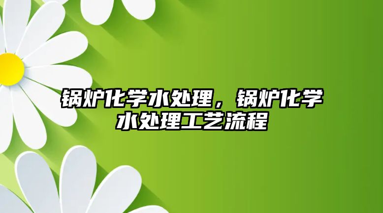 鍋爐化學(xué)水處理，鍋爐化學(xué)水處理工藝流程