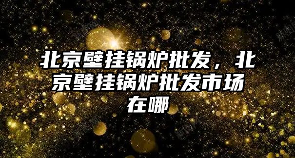 北京壁掛鍋爐批發(fā)，北京壁掛鍋爐批發(fā)市場在哪