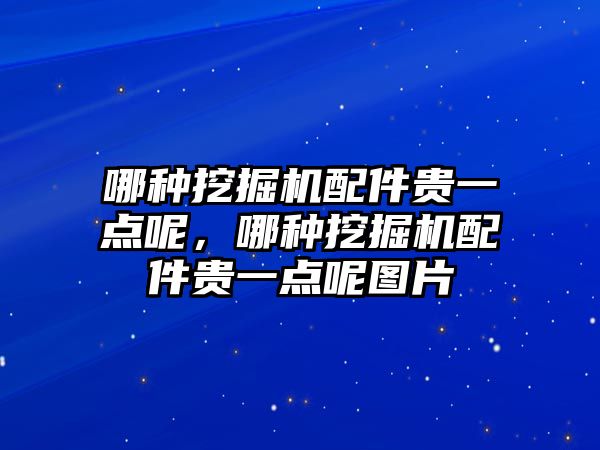 哪種挖掘機配件貴一點呢，哪種挖掘機配件貴一點呢圖片