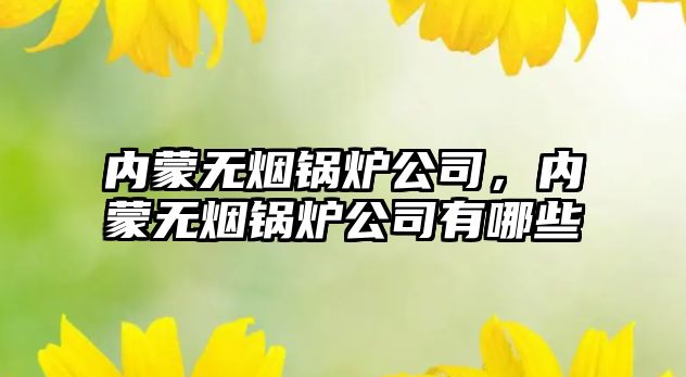 內(nèi)蒙無煙鍋爐公司，內(nèi)蒙無煙鍋爐公司有哪些