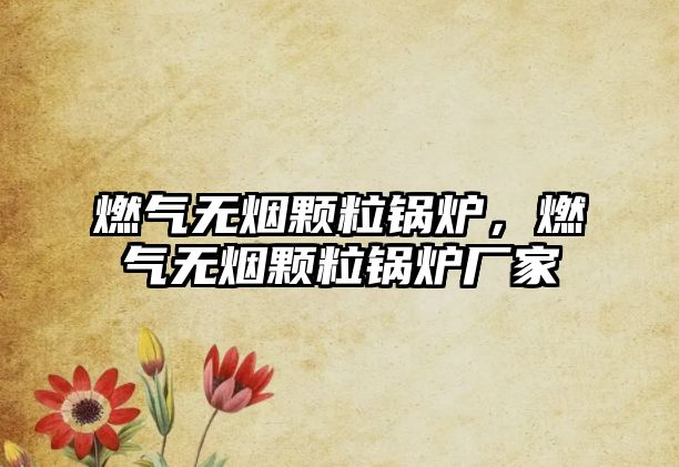 燃?xì)鉄o(wú)煙顆粒鍋爐，燃?xì)鉄o(wú)煙顆粒鍋爐廠家