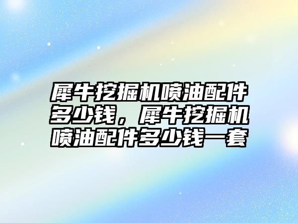 犀牛挖掘機噴油配件多少錢，犀牛挖掘機噴油配件多少錢一套