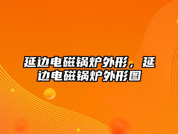 延邊電磁鍋爐外形，延邊電磁鍋爐外形圖