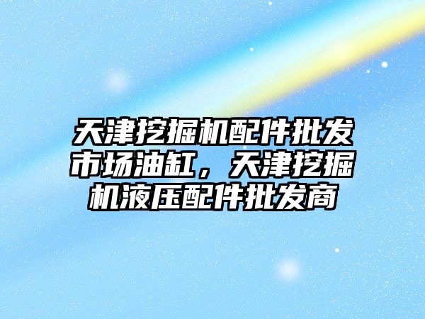 天津挖掘機配件批發(fā)市場油缸，天津挖掘機液壓配件批發(fā)商