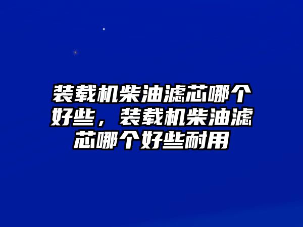 裝載機(jī)柴油濾芯哪個(gè)好些，裝載機(jī)柴油濾芯哪個(gè)好些耐用