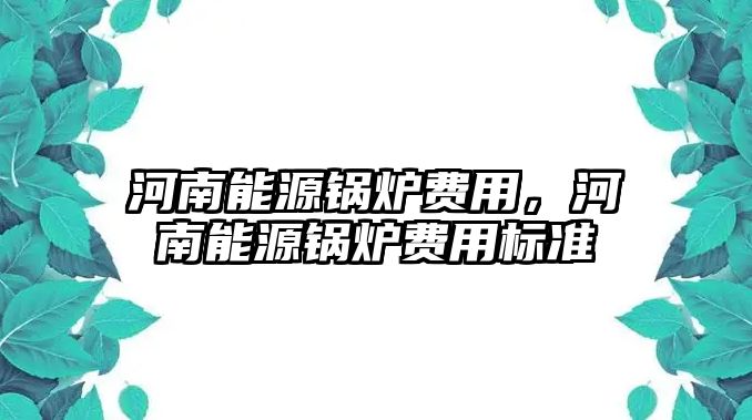 河南能源鍋爐費用，河南能源鍋爐費用標(biāo)準(zhǔn)