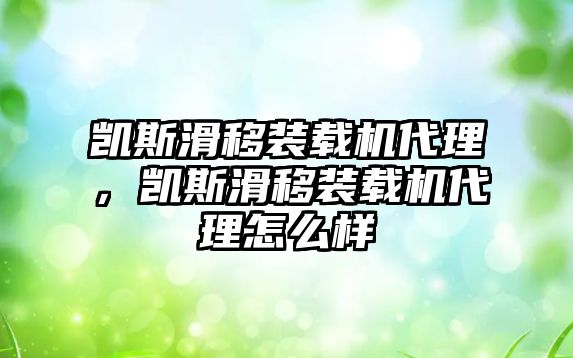 凱斯滑移裝載機代理，凱斯滑移裝載機代理怎么樣