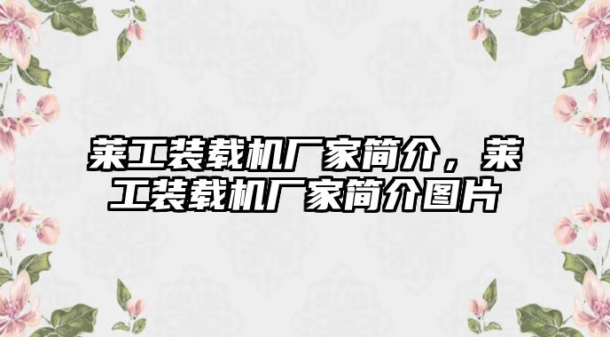 萊工裝載機廠家簡介，萊工裝載機廠家簡介圖片