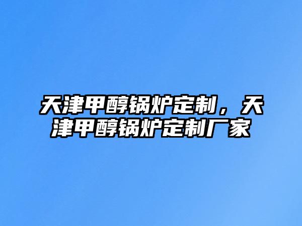 天津甲醇鍋爐定制，天津甲醇鍋爐定制廠家