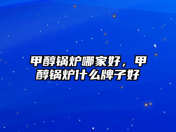 甲醇鍋爐哪家好，甲醇鍋爐什么牌子好