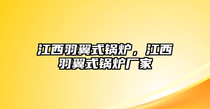 江西羽翼式鍋爐，江西羽翼式鍋爐廠家