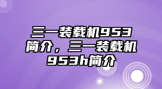 三一裝載機(jī)953簡介，三一裝載機(jī)953h簡介