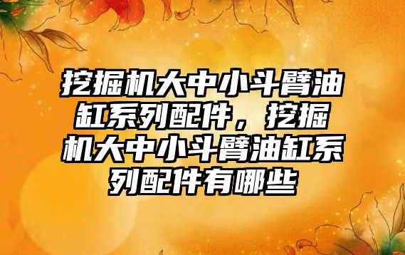 挖掘機大中小斗臂油缸系列配件，挖掘機大中小斗臂油缸系列配件有哪些