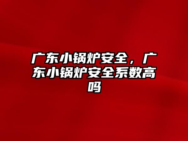 廣東小鍋爐安全，廣東小鍋爐安全系數(shù)高嗎