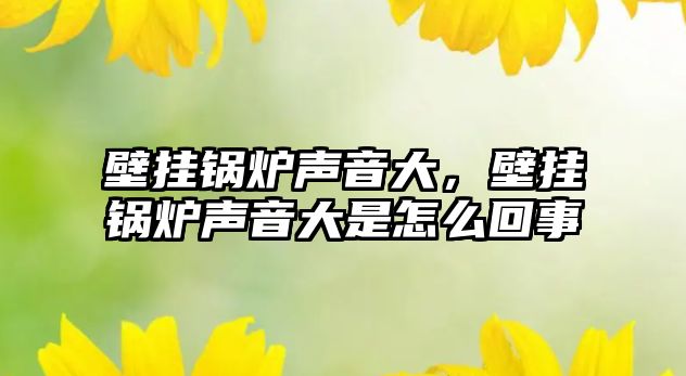 壁掛鍋爐聲音大，壁掛鍋爐聲音大是怎么回事