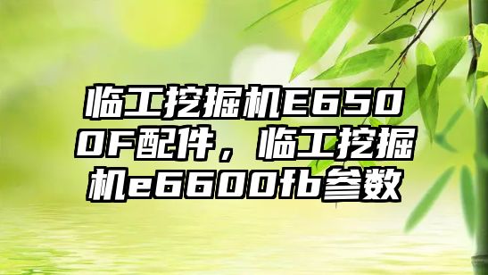 臨工挖掘機E6500F配件，臨工挖掘機e6600fb參數(shù)