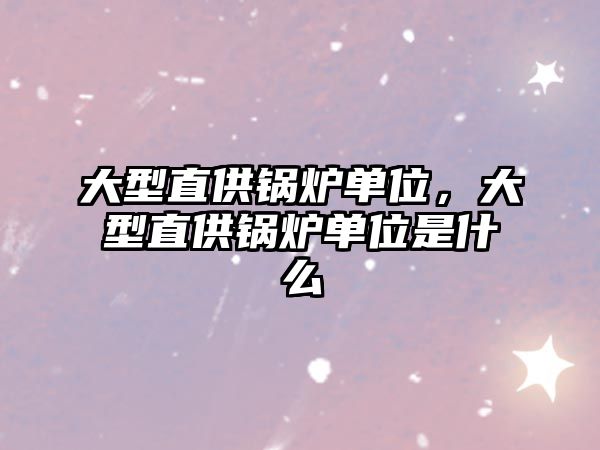 大型直供鍋爐單位，大型直供鍋爐單位是什么