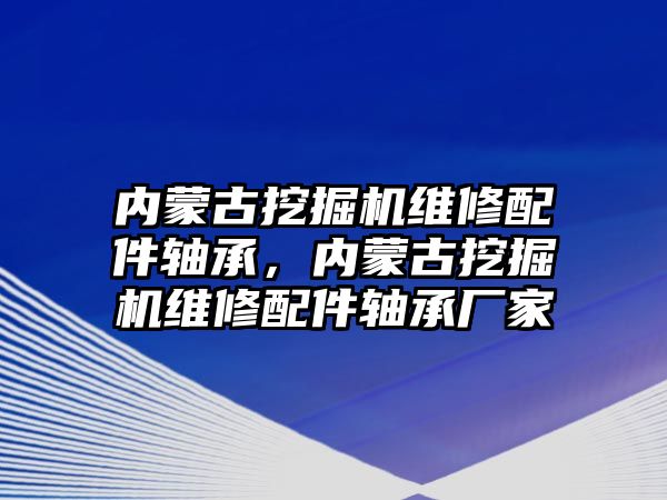 內(nèi)蒙古挖掘機維修配件軸承，內(nèi)蒙古挖掘機維修配件軸承廠家