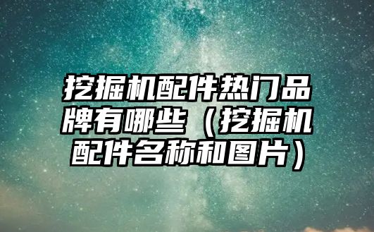 挖掘機(jī)配件熱門品牌有哪些（挖掘機(jī)配件名稱和圖片）