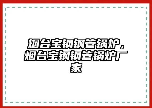 煙臺寶鋼鋼管鍋爐，煙臺寶鋼鋼管鍋爐廠家