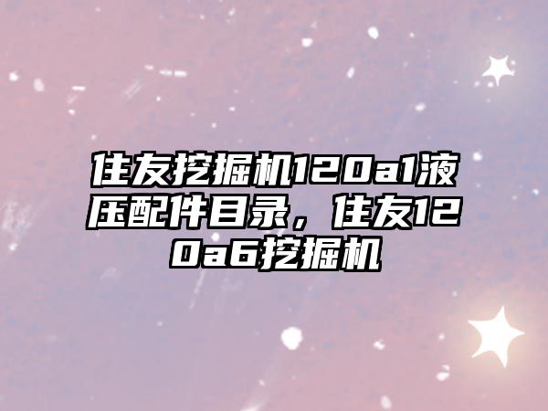 住友挖掘機(jī)120a1液壓配件目錄，住友120a6挖掘機(jī)