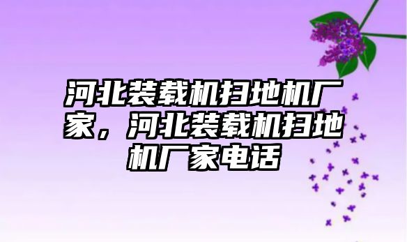 河北裝載機(jī)掃地機(jī)廠家，河北裝載機(jī)掃地機(jī)廠家電話