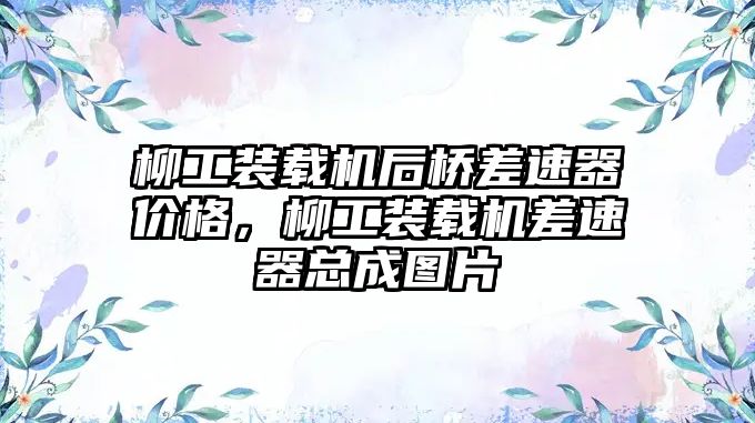 柳工裝載機(jī)后橋差速器價格，柳工裝載機(jī)差速器總成圖片