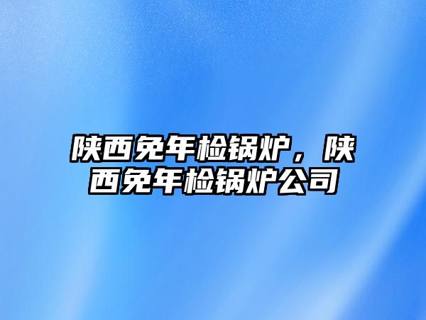 陜西免年檢鍋爐，陜西免年檢鍋爐公司