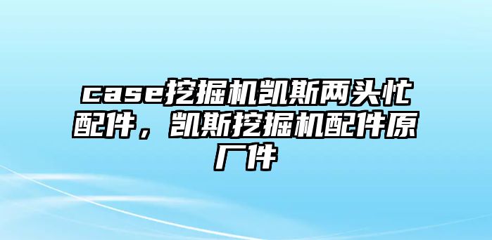 case挖掘機(jī)凱斯兩頭忙配件，凱斯挖掘機(jī)配件原廠件