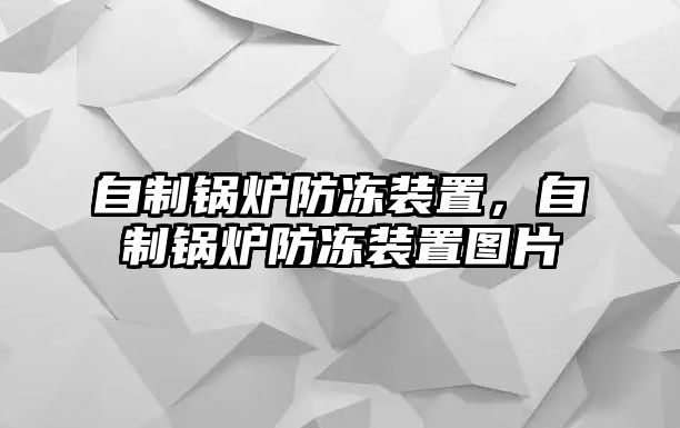 自制鍋爐防凍裝置，自制鍋爐防凍裝置圖片