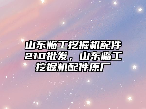 山東臨工挖掘機配件210批發(fā)，山東臨工挖掘機配件原廠