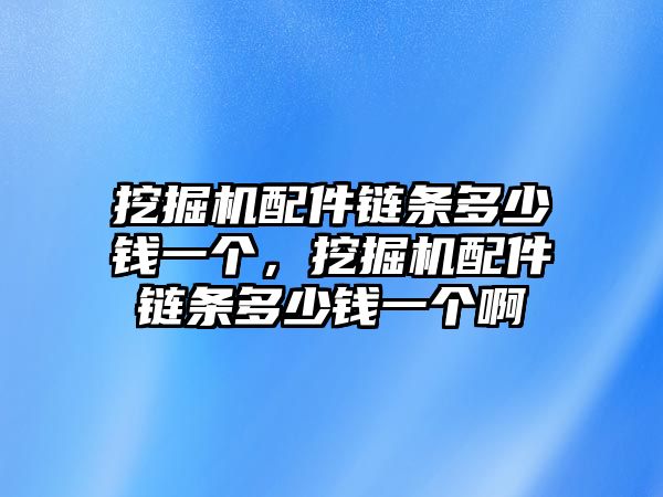 挖掘機(jī)配件鏈條多少錢一個(gè)，挖掘機(jī)配件鏈條多少錢一個(gè)啊