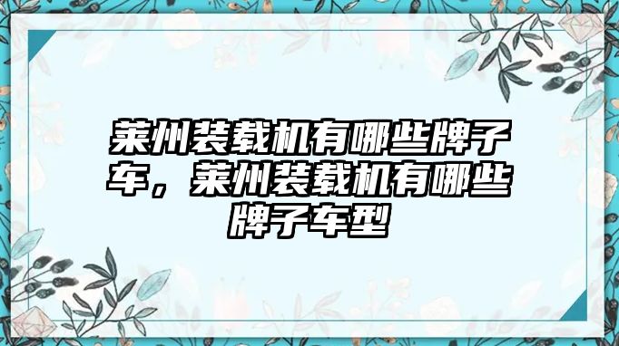 萊州裝載機(jī)有哪些牌子車(chē)，萊州裝載機(jī)有哪些牌子車(chē)型