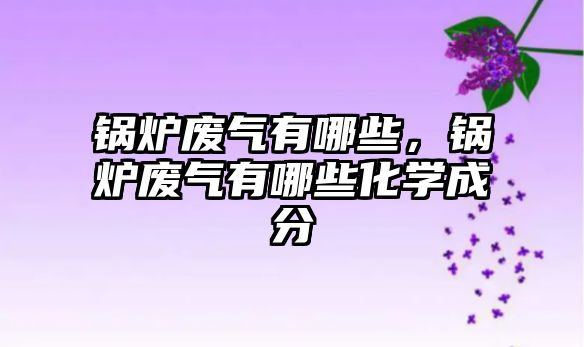 鍋爐廢氣有哪些，鍋爐廢氣有哪些化學(xué)成分