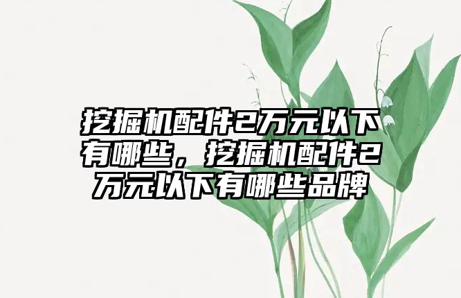 挖掘機(jī)配件2萬元以下有哪些，挖掘機(jī)配件2萬元以下有哪些品牌