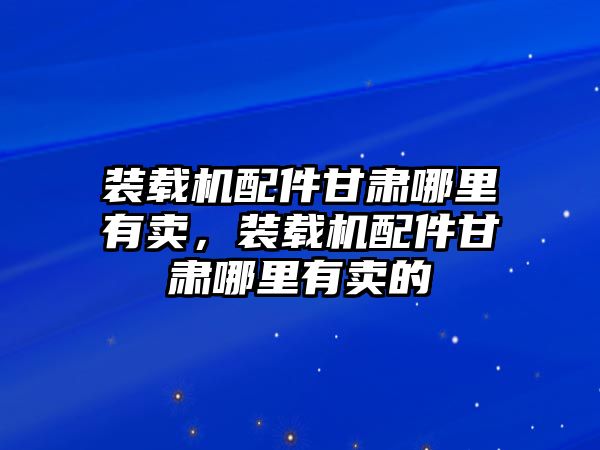 裝載機配件甘肅哪里有賣，裝載機配件甘肅哪里有賣的