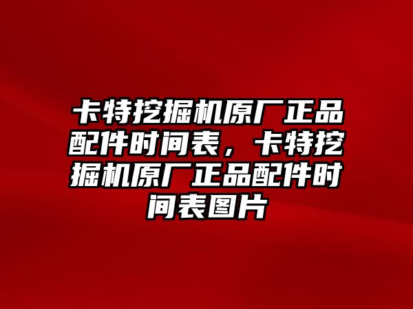 卡特挖掘機(jī)原廠正品配件時(shí)間表，卡特挖掘機(jī)原廠正品配件時(shí)間表圖片